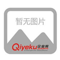 供应电锅炉用电加热管GYS型(图)